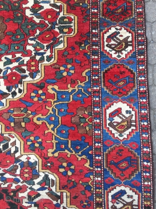 Colorful Persian Bakhtiary rug with lots of flowers and birds, age: circa 1920, size: ca. 205x150cm / 6'7''ft x 5ft             