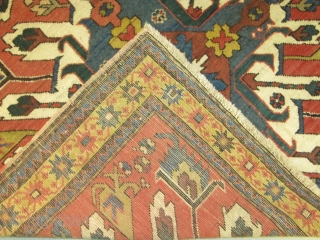 ref: S336/Kazak Adler "Cheleberd" Caucasian antique rug ,perfect condition ,full pile, size .2.40 x 1.15 , 7'9 x 3'9 .             