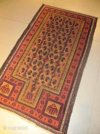 ref: S1734 /belouch persian Payer rug, 19th century, perfect condition
size: 350 X 155  /  11' X 5'              