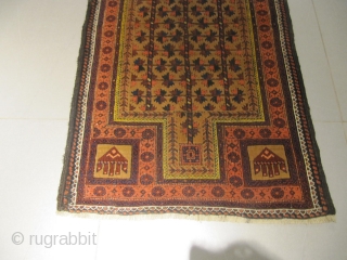 ref: S1734 /belouch persian Payer rug, 19th century, perfect condition
size: 350 X 155  /  11' X 5'              