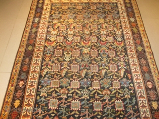 ref: S397 / Quashquai Persian antique rug, 19th century, perfect condition
size: 245 X 150  /  8' X 4'             