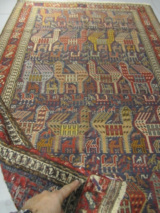 ref: S1762 /  Caucasian soumak antique ,early 20th century, perfect condition
size: 185 X 120  /  5' X 3'            