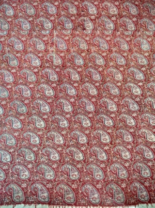 Exceptional antique kashmir jamavar shawl circa 1800 In very good condition. Fine colours Some  of moth holes but easy to repair.
Size 8.5 feet long and 4 feet wide
    
