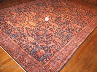 Persian Mustafi design Sarouk 9 x 12 Near perfect condition. Bendas Rugs St. Louis Missouri 314-862-4410                 