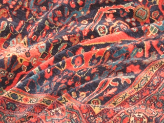 Persian Mustafi design Sarouk 9 x 12 Near perfect condition. Bendas Rugs St. Louis Missouri 314-862-4410                 