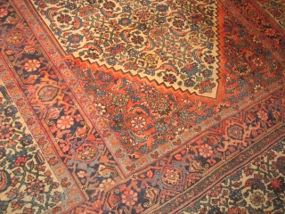 Bijar Persian Audience Carpet ( Triclinium ) 11.5 by 18.  Wool foundation Good pile, needs one area rewoven. Will supply pics if you want,
PRICE REDUCED!       