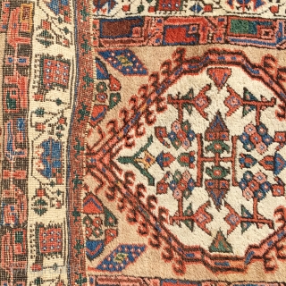 Antique Collectible Serab Northwest Persian Rug Runner 2'9'' x 8'9''

Antique Persian Serab Runner: Origin: Persia, Circa 1900

Full Pile, in perfect condition

This exquisite Persian Rug features an array of vivid colors and intricate  ...