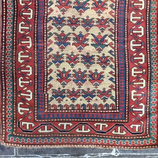 Super Rare Kazak Prayer Borchalou Rug Caucasian 3'4" x 5'9" 1903 collectible
Super super collectible



Unique collectible Caucasian Kazak Saffron Base Dated 1321 Hijri equal to 1903

Kazak Prayer Rug, Southwest Caucasus, Dated 1903 (  ...