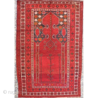 This prayer rug has a more formal border that constrasts with an unusual mihrab surrounded by two water jugs and randomly scatered motives. Tightly woven with nice shinny wool. The area where  ...