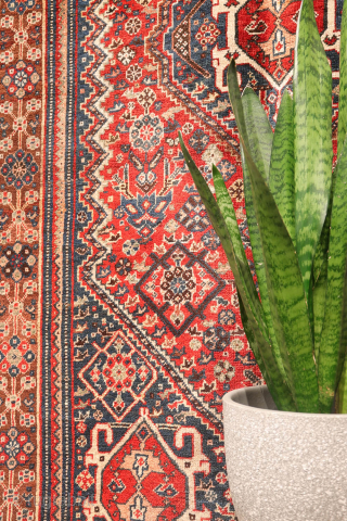 This antique Qashqai rug from Iran truly ticks all the boxes: it is in mint condition, with a full pile, exceptionally soft wool, and a highly intricate design. This level of detail ...