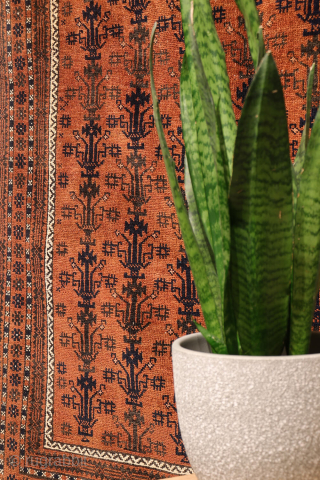 A finely woven antique Baluch rug from the Sistan area of Afghanistan, featuring a rare and charming design of a small plant or bush repeated across the entire field. With a very ...