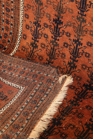 A finely woven antique Baluch rug from the Sistan area of Afghanistan, featuring a rare and charming design of a small plant or bush repeated across the entire field. With a very ...