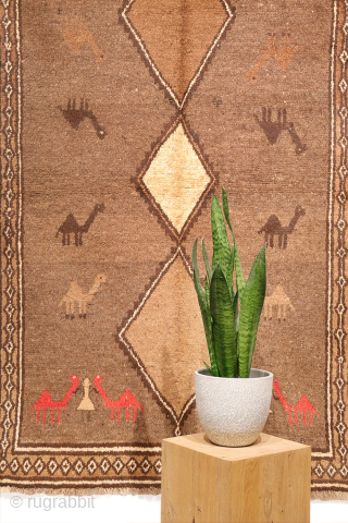 An unusual Qashqai gabbeh rug, likely woven with undyed natural camel wool. The rich color suggests the use of camel wool, and the weaver even included some camels in the design. Charming ...