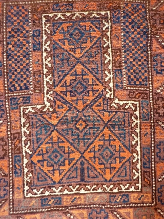 A coarsely woven Belouch prayer rug with the best quality soft wool. The feeling is that of a very tribal rug and the handle is similar to a gabbeh with a high  ...