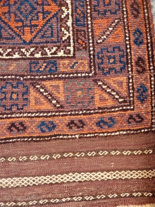 A coarsely woven Belouch prayer rug with the best quality soft wool. The feeling is that of a very tribal rug and the handle is similar to a gabbeh with a high  ...