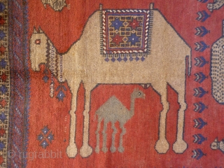 Although not so old, I love this very expressive rug woven by Belouch nomads from Herat region of Afghanistan. The fangs, the pelt, the claws etc. are like a cubist painting, that  ...