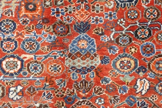 Fantastic Millefleurs rug from the Qashqai Kashkuli tribe of Iran. This rug is woven from soft, shiny wool with a high density of knots. The range of colors is vibrant and simply  ...