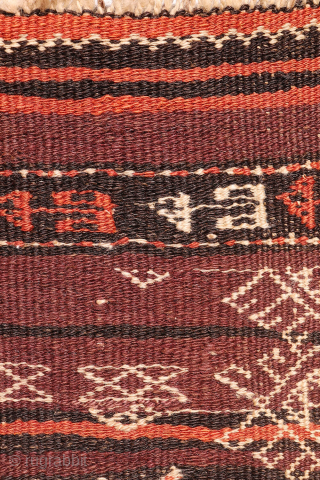 An earthy-toned (slightly aubergine hues) Serkhat Baluch Shaffi kilim with an exceptionally intricate pattern and refined drawing. The complexity of the design is achieved through the weaving of delicate linear motifs — ...