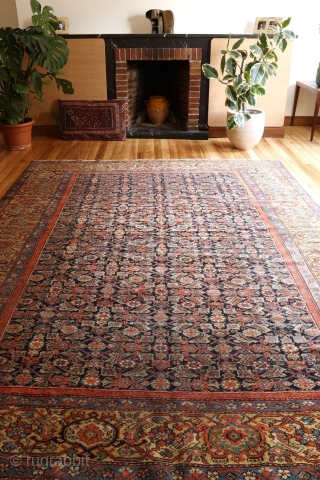 An unusual wide yellow border antique malayer rug from around 1870. One small low pile area where the warp and weft are exposed. Otherwise with low pile worn evenly. All natural dyes  ...