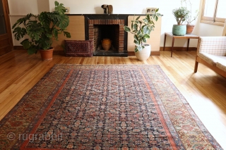 An unusual wide yellow border antique malayer rug from around 1870. One small low pile area where the warp and weft are exposed. Otherwise with low pile worn evenly. All natural dyes  ...