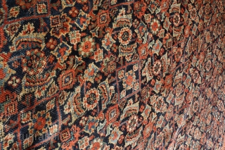 An unusual wide yellow border antique malayer rug from around 1870. One small low pile area where the warp and weft are exposed. Otherwise with low pile worn evenly. All natural dyes  ...