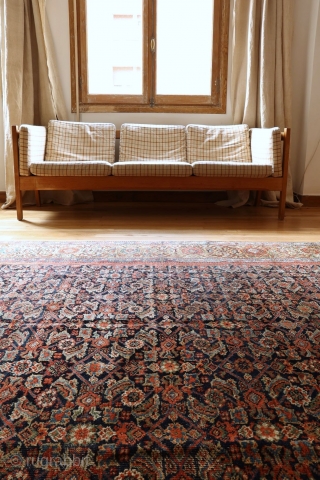 An unusual wide yellow border antique malayer rug from around 1870. One small low pile area where the warp and weft are exposed. Otherwise with low pile worn evenly. All natural dyes  ...