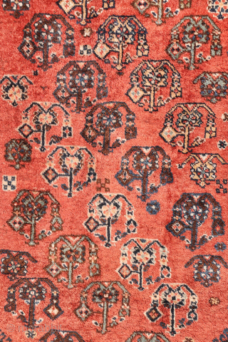 A lovely antique Luri rug with a field filled with elegantly rendered palmettes, arranged diagonally by colour. The spaces left between the main motifs are enriched with scattered decorative elements.. The navy ...