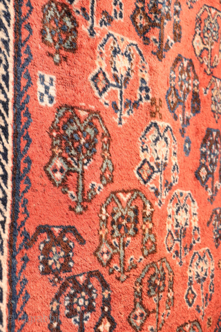 A lovely antique Luri rug with a field filled with elegantly rendered palmettes, arranged diagonally by colour. The spaces left between the main motifs are enriched with scattered decorative elements.. The navy ...