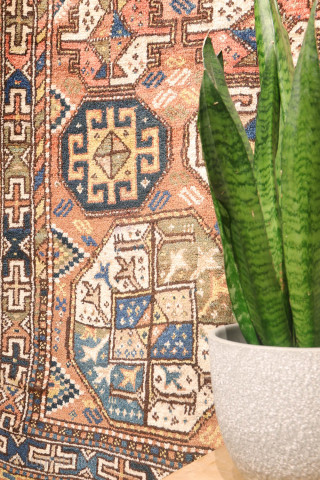 A North West Persian Kurdish rug featuring an oversized design with a large octagon placed in each corner. The central field contains smaller secondary motifs, creating a structured yet lively arrangement.

While the  ...