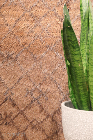 A Superb Yaqoob Khani Baluch Rug – Afghanistan
This sYaqoob Khani Baluch rug from Afghanistan has a wonderfully wild and primitive character. Handwoven from unspun and undyed wool, it captures the essence of ...