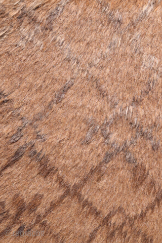 A Superb Yaqoob Khani Baluch Rug – Afghanistan
This sYaqoob Khani Baluch rug from Afghanistan has a wonderfully wild and primitive character. Handwoven from unspun and undyed wool, it captures the essence of ...