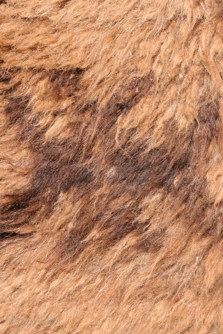 A Superb Yaqoob Khani Baluch Rug – Afghanistan
This sYaqoob Khani Baluch rug from Afghanistan has a wonderfully wild and primitive character. Handwoven from unspun and undyed wool, it captures the essence of ...