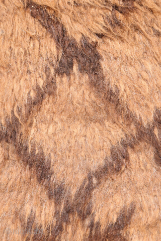 A Superb Yaqoob Khani Baluch Rug – Afghanistan
This sYaqoob Khani Baluch rug from Afghanistan has a wonderfully wild and primitive character. Handwoven from unspun and undyed wool, it captures the essence of ...