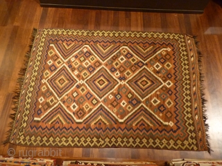 Rare Luri kilim (the lost cousin of a Tartari weaving), very good range of colours and abrashes. Strong kilm in perfect condition with shinny wool and original fringes. Good square size (228x161cms). 