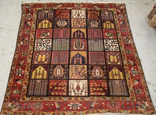 Gallery piece Bakhtiyar carpet ,all natural dyes beautiful coulours ,size 304cmx251cm (circa 1880)
minor areas of good repair.                