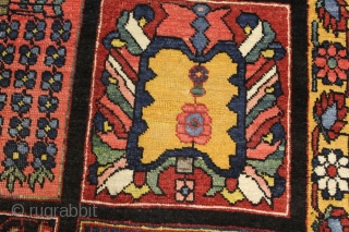 Gallery piece Bakhtiyar carpet ,all natural dyes beautiful coulours ,size 304cmx251cm (circa 1880)
minor areas of good repair.                