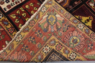 Gallery piece Bakhtiyar carpet ,all natural dyes beautiful coulours ,size 304cmx251cm (circa 1880)
minor areas of good repair.                