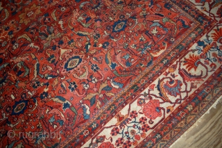 Handmade antique Persian Sultanabad rug 9.10' x 13' ( 303cm x 396cm) 1880s - 1B458                  