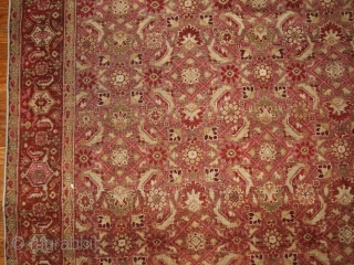 #1B147  Hand made antique Indian Amritsar rug 6.11' x 9.7' ( 216cm x 295cm ) 1900.C
                