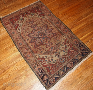 #1B163  Hand made antique Persian Sarouk Farahan rug 3.1' x 5.4' ( 94cm x 164cm) 1880s
                