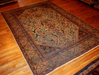 1B96 Persian "Mahal" rug 6.9' x 9.10' 1900, good condition.                       