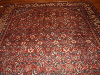 #1B212 Hand made antique Persian Mahal rug 8.9' x 11.7' ( 274cm x 359cm ) 1900.C
                 