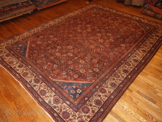 #1B212 Hand made antique Persian Mahal rug 8.9' x 11.7' ( 274cm x 359cm ) 1900.C
                 