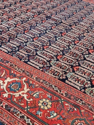 North West Persia/ Karabagh ca 1900 kelleh size carpet in good condition. Some wear on a few spots. Ca 524 x 222 cm.

A video can be provided at request. 
   