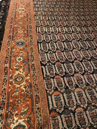 North West Persia/ Karabagh ca 1900 kelleh size carpet in good condition. Some wear on a few spots. Ca 524 x 222 cm.

A video can be provided at request. 
   
