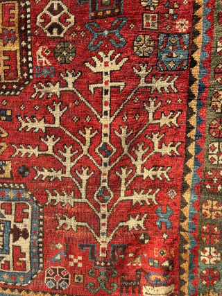 Tree Kazak 1900, 153x255 cm
ondrej@cityhouse.cz, WhatsApp: +420608733888                          