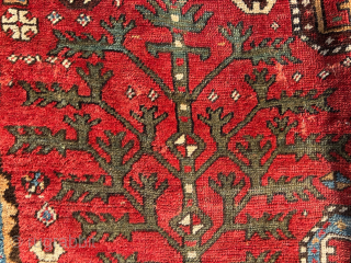Tree Kazak 1900, 153x255 cm
ondrej@cityhouse.cz, WhatsApp: +420608733888                          