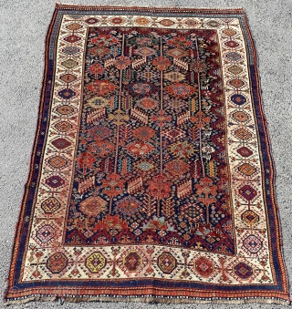 Qhasqai Shekarlu Rug Circa 1870s-1880s size 165x241 cm                         