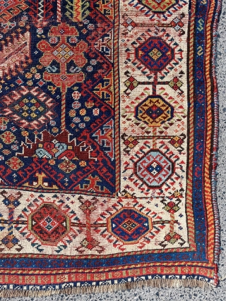 Qhasqai Shekarlu Rug Circa 1870s-1880s size 165x241 cm                         