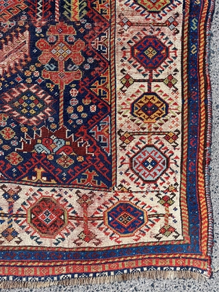 Qhasqai Shekarlu Rug Circa 1870s-1880s size 165x241 cm                         